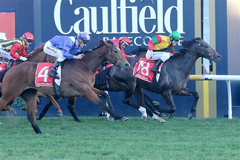 chatham stakes|Chatham Stakes Field – 2021 .